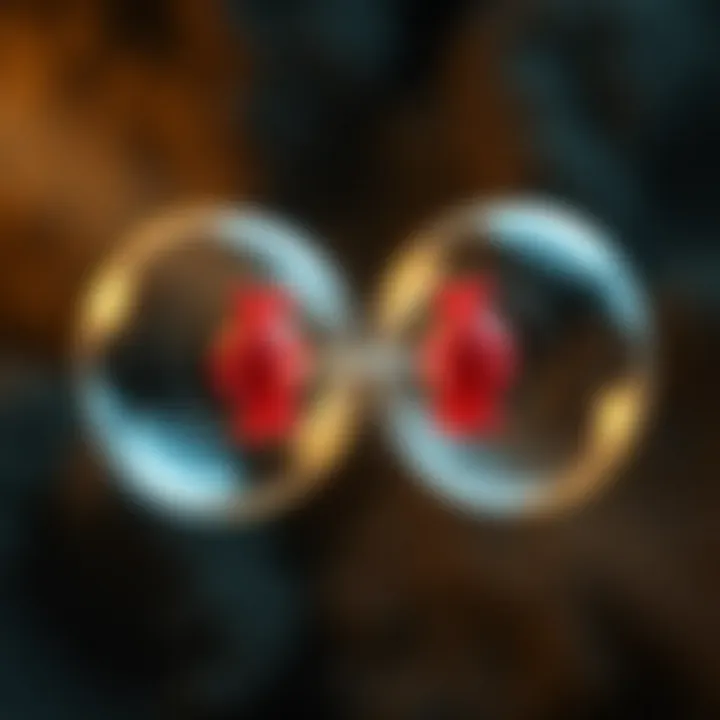 Diagram illustrating the division of a single cell into two identical cells through binary fission